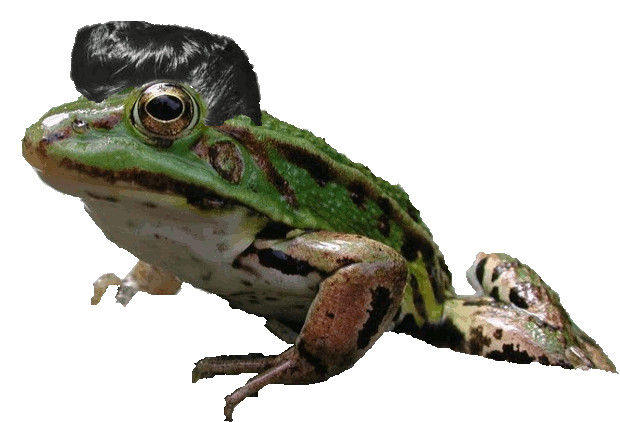 Frog 'n Roll